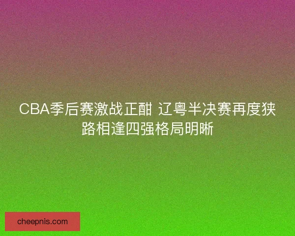 CBA季后赛激战正酣 辽粤半决赛再度狭路相逢四强格局明晰 CBA季后赛激战正酣 辽粤半决赛再度狭路相逢四强格局明晰