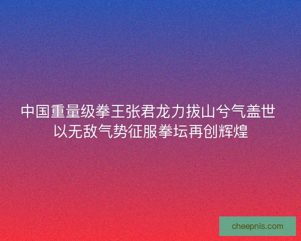 中国重量级拳王张君龙力拔山兮气盖世 以无敌气势征服拳坛再创辉煌