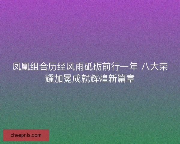 凤凰组合历经风雨砥砺前行一年 八大荣耀加冕成就辉煌新篇章