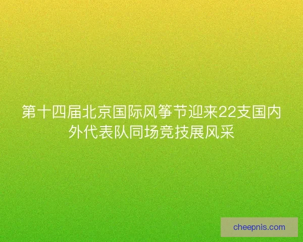 第十四届北京国际风筝节迎来22支国内外代表队同场竞技展风采